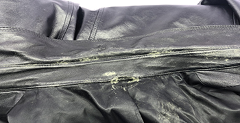 皮革發(fā)霉有哪些原因?預(yù)防真皮原料發(fā)霉的好方法