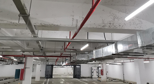 車庫發霉情況 車庫發霉情況