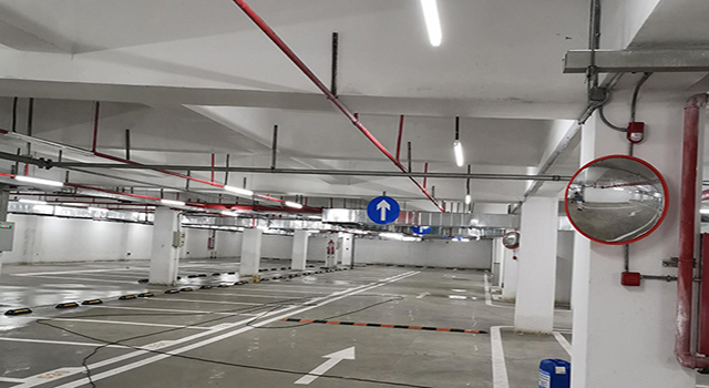 車庫除霉后 車庫除霉后