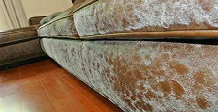 皮沙發發霉